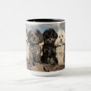 Recherche de paquet tasses Chiot
