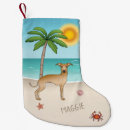 Recherche de lévrier chaussette de noël Chien