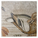 Recherche de canards carreaux Oiseau