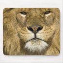 Recherche de panthera lion tapis souris Crête de lincoln