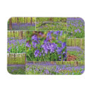 Recherche de belle m magnets Fleurs violettes