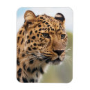 Recherche de adultes magnets Pour tous