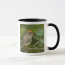 Recherche de habitat tasses Oiseau