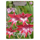 Recherche de gladiola Rouge