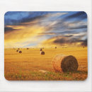 Recherche de agricole tapis souris Campagne