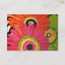Recherche de gerber cartes visite Gerbera