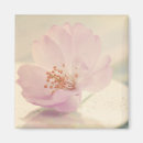 Recherche de sakura magnets Floral