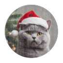 Recherche de humour animal planches à découper Chaton