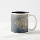 Recherche de nympheas tasses Lis