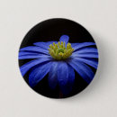 Recherche de gerbera badges Fleur