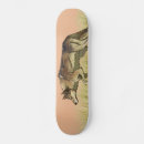 Recherche de levers de soleil skateboards Nature