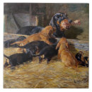 Recherche de os carreaux Chiots