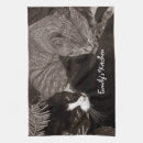 Recherche de minou noir photographie Félin