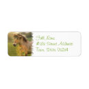 Recherche de peau de daim Poney