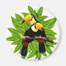 Recherche de oiseaux exotiques magnets Faune