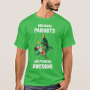 Recherche de conures Animaux