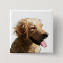 Recherche de chien de golden retriever badges Récupérateur doré