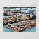 Recherche de lion cartes cartes postales Paysage