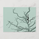 Recherche de tordu cartes postales Nature