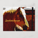 Recherche de saskatchewan cartes postales Ferme
