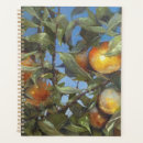 Recherche de illustrations originales bureau fournitures Illustration originale