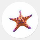 Recherche de vibrant étoiles autocollants Étoile de mer