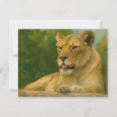 Recherche de lionesse cartes postales Gros chat