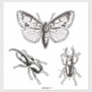 Recherche de illustration papillon autocollants Mignon