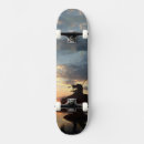 Recherche de fin skateboards Animal