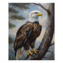 Recherche de perche posters Aigle