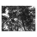Recherche de voûtes posters Noir et blanc