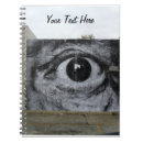 Recherche de graffiti de carnets Ville