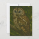 Recherche de animal réaliste cartes postales Forêt