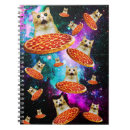 Recherche de de chaton carnets Humour