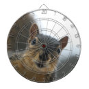 Recherche de écureuil jeux de fléchettes Faune
