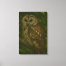Recherche de dessin hibou toiles Forêt