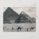 Recherche de chameau vintage cartes postales Égypte