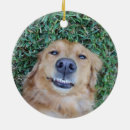 Recherche de domestique ornements Chien