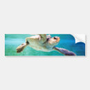 Recherche de tortue marine voiture autocollants Nature