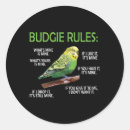 Recherche de perruches autocollants Budgéraire