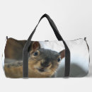 Recherche de écureuil sacs Curieux