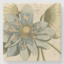 Recherche de arrière plan vintage dessous de verres Botanique