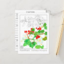 Recherche de aubépine cartes postales Pour tous