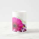 Recherche de gerbera tasses Nature
