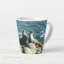Recherche de otarie tasses Faune