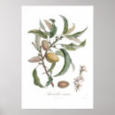 Recherche de tail posters Floral
