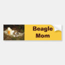 Recherche de beagle voiture autocollants Chien