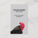 Recherche de coq noir cartes visite Poulet