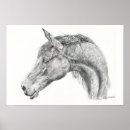 Recherche de dessin crayon graphite posters Cheval