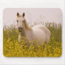 Recherche de cheval blanc tapis souris fleurs